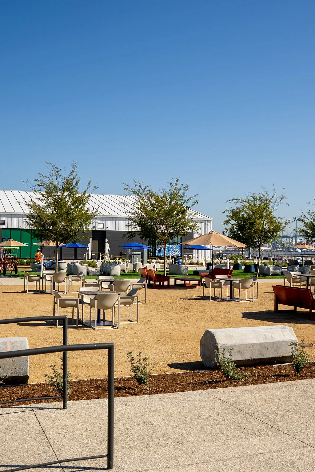 Promenade seating under young trees with the harbor beyond
